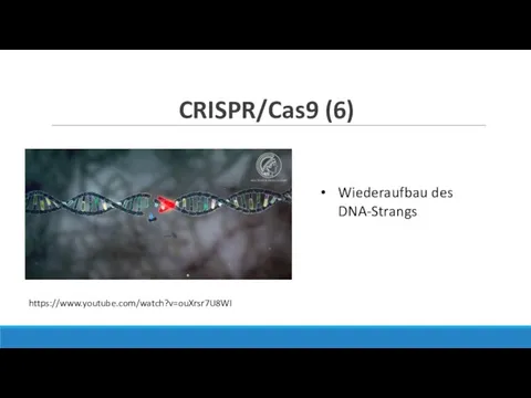 CRISPR/Cas9 (6) Wiederaufbau des DNA-Strangs https://www.youtube.com/watch?v=ouXrsr7U8WI