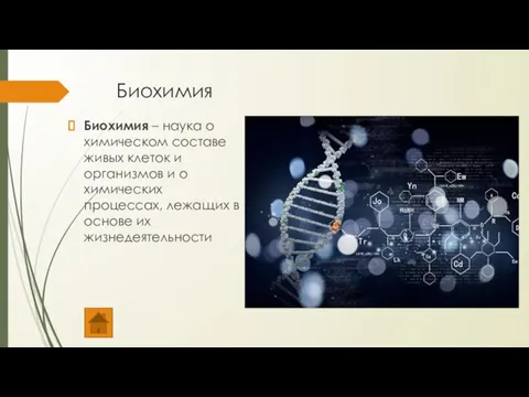 Биохимия Биохимия – наука о химическом составе живых клеток и организмов и