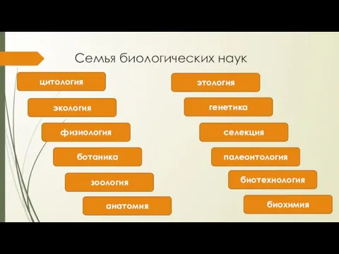 Семья биологических наук цитология экология физиология анатомия ботаника зоология этология генетика селекция палеонтология биотехнология биохимия