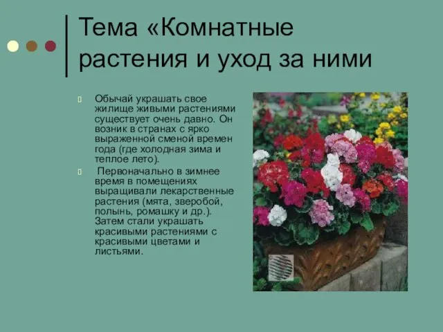 Тема «Комнатные растения и уход за ними Обычай украшать свое жилище живыми