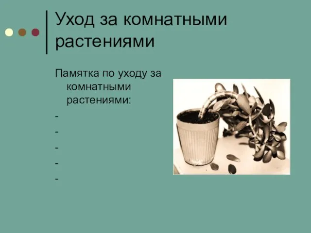 Уход за комнатными растениями Памятка по уходу за комнатными растениями: - - - - -