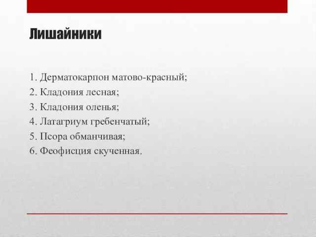 Лишайники 1. Дерматокарпон матово-красный; 2. Кладония лесная; 3. Кладония оленья; 4. Латагриум