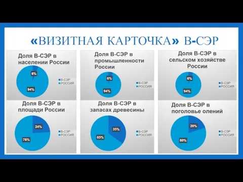 «ВИЗИТНАЯ КАРТОЧКА» В-СЭР