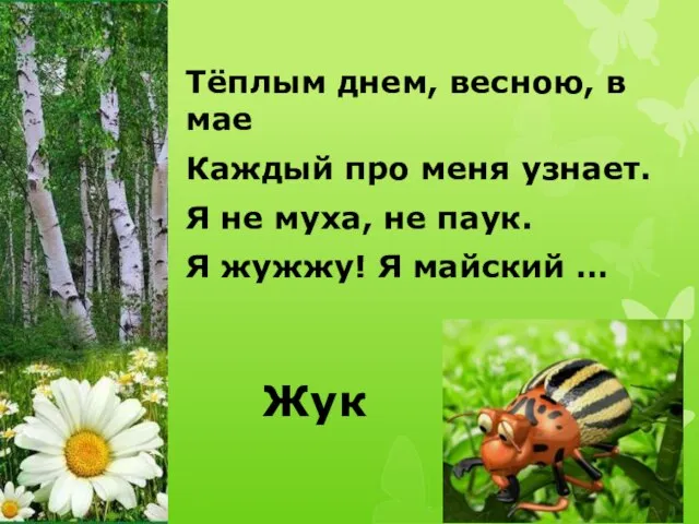 Тёплым днем, весною, в мае Каждый про меня узнает. Я не муха,