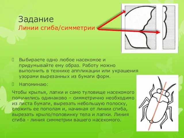 Задание Линии сгиба/симметрии Выбираете одно любое насекомое и придумывайте ему образ. Работу