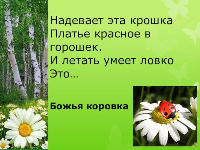 Надевает эта крошка Платье красное в горошек. И летать умеет ловко Это… Божья коровка