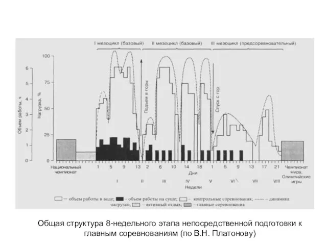 Общая структура 8-недельного этапа непосредственной подготовки к главным соревнованиям (по В.Н. Платонову)