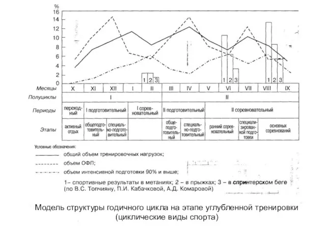 Модель структуры годичного цикла на этапе углубленной тренировки (циклические виды спорта)