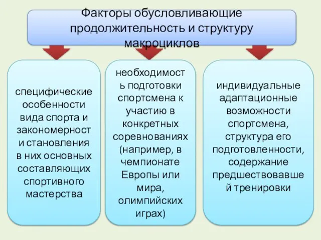 Факторы обусловливающие продолжительность и структуру макроциклов специфические особенности вида спорта и закономерности