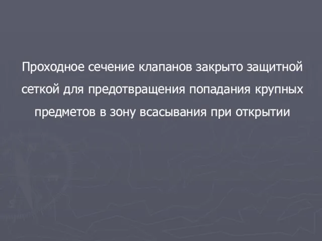 Проходное сечение клапанов закрыто защитной сеткой для предотвращения попадания крупных предметов в зону всасывания при открытии