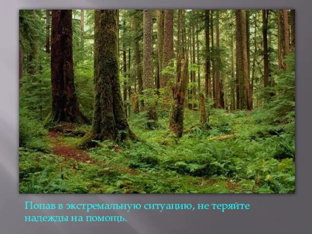 Попав в экстремальную ситуацию, не теряйте надежды на помощь.