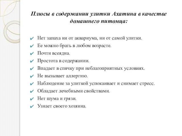 Плюсы в содержании улитки Ахатина в качестве домашнего питомца: Нет запаха ни