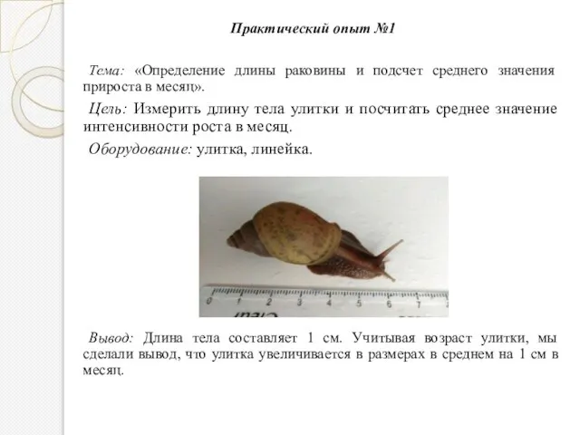 Практический опыт №1 Тема: «Определение длины раковины и подсчет среднего значения прироста