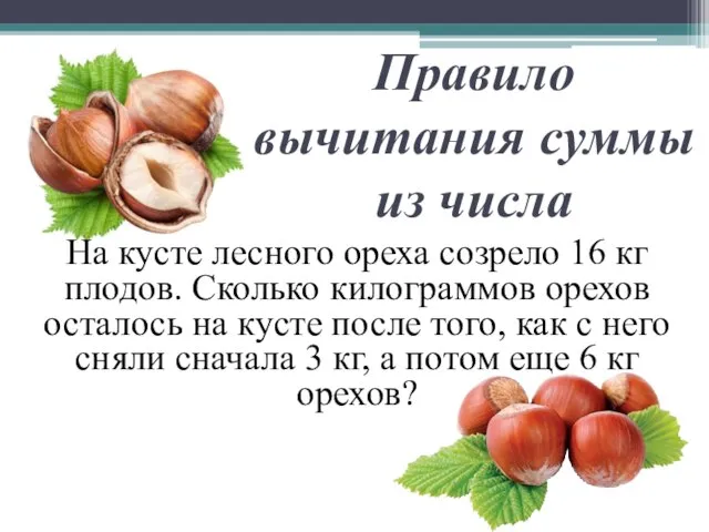 Правило вычитания суммы из числа На кусте лесного ореха созрело 16 кг