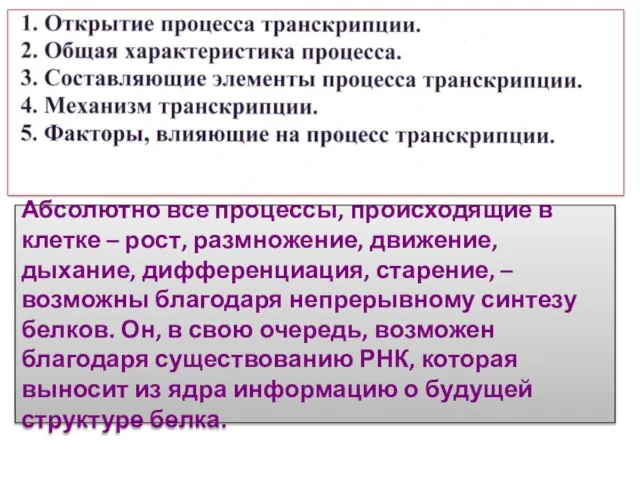 Абсолютно все процессы, происходящие в клетке – рост, размножение, движение, дыхание, дифференциация,