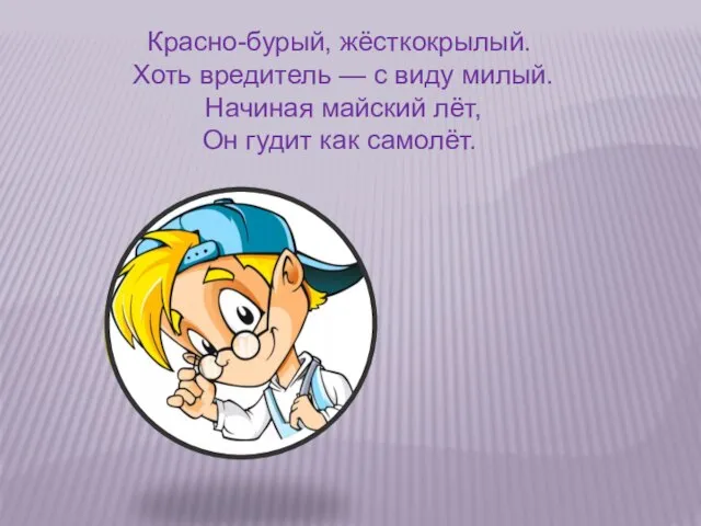 Красно-бурый, жёсткокрылый. Хоть вредитель — с виду милый. Начиная майский лёт, Он гудит как самолёт.