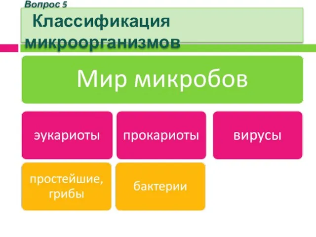 Вопрос 5 Классификация микроорганизмов