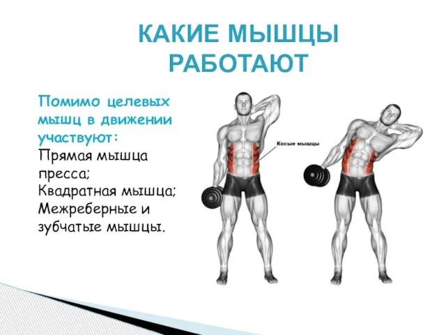 КАКИЕ МЫШЦЫ РАБОТАЮТ Помимо целевых мышц в движении участвуют: Прямая мышца пресса;