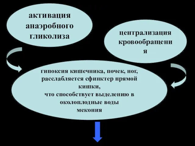 активация анаэробного гликолиза централизация кровообращения гипоксия кишечника, почек, ног, расслабляется сфинктер прямой