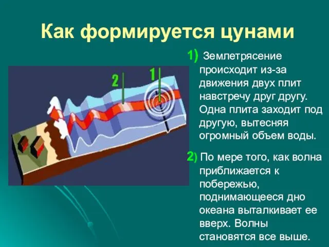 Как формируется цунами 1) Землетрясение происходит из-за движения двух плит навстречу друг