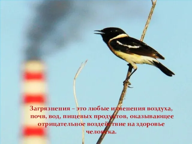 Загрязнения – это любые изменения воздуха, почв, вод, пищевых продуктов, оказывающее отрицательное воздействие на здоровье человека.