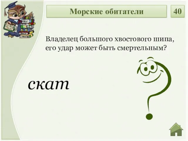 скат Владелец большого хвостового шипа, его удар может быть смертельным? Морские обитатели 40