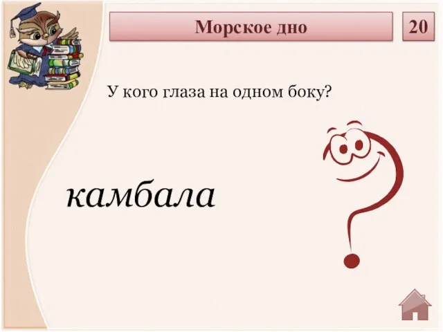 камбала У кого глаза на одном боку? Морское дно 20