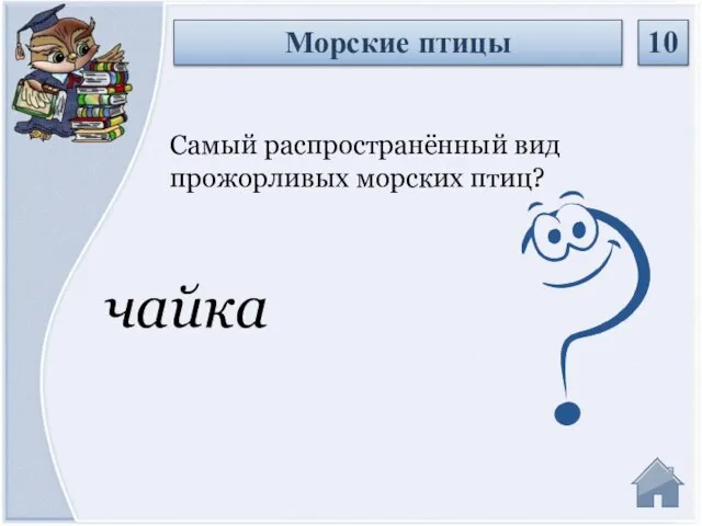 чайка Самый распространённый вид прожорливых морских птиц? Морские птицы 10