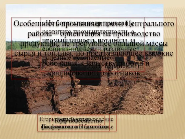 Егорьевское месторождение фосфоритов в Подмосковье Бурый уголь Подмосковного бассейна Торф повсеместно «Не