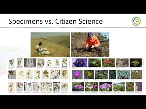 Specimens vs. Citizen Science c