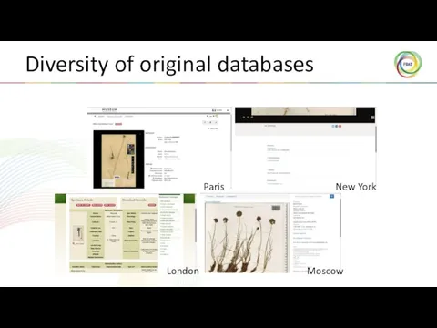 Diversity of original databases Paris New York London Moscow