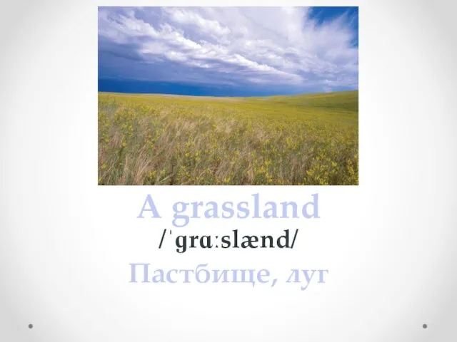 A grassland /ˈɡrɑːslænd/ Пастбище, луг