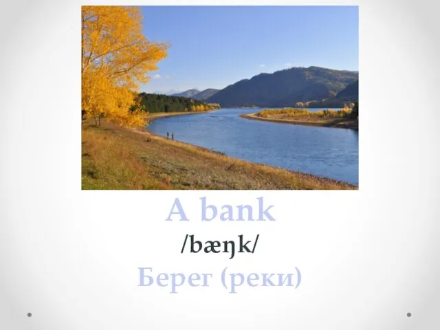 A bank /bæŋk/ Берег (реки)