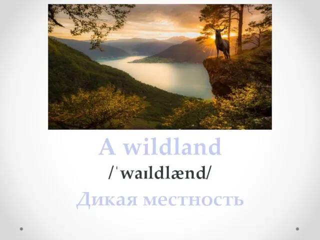 A wildland /ˈwaɪldlænd/ Дикая местность