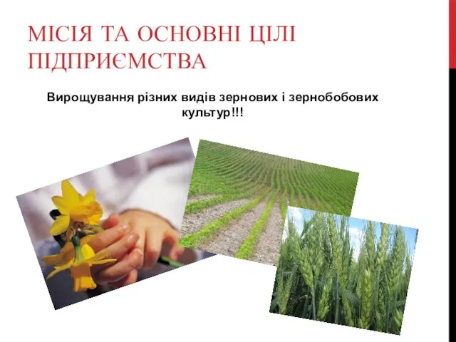 МІСІЯ ТА ОСНОВНІ ЦІЛІ ПІДПРИЄМСТВА Вирощування різних видів зернових і зернобобових культур!!!