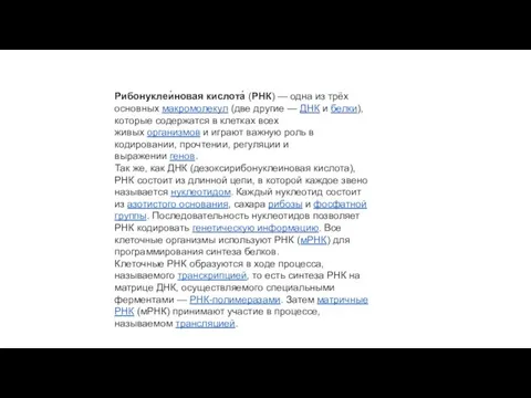 Рибонуклеи́новая кислота́ (РНК) — одна из трёх основных макромолекул (две другие —