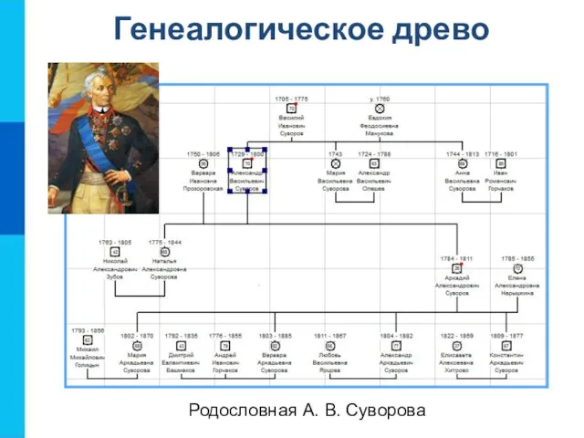 Генеалогическое древо Родословная А. В. Суворова