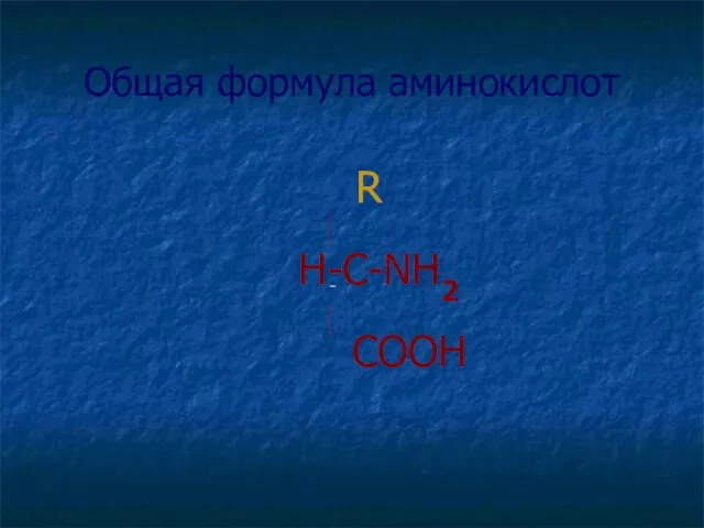 Общая формула аминокислот R H-C-NH2 COOH