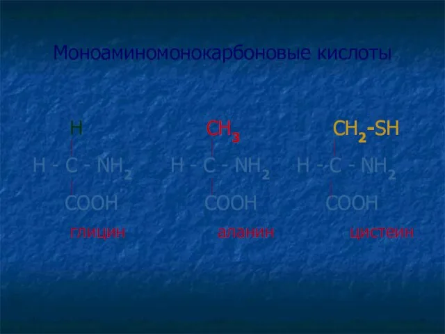 Моноаминомонокарбоновые кислоты H СН3 СН2-SH H - C - NH2 H -