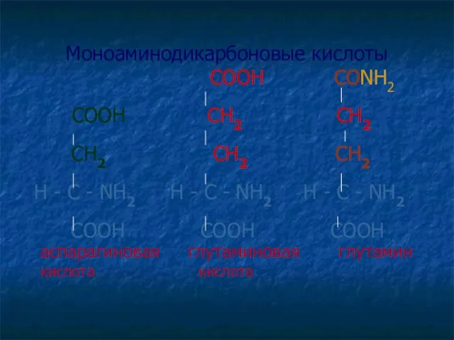 Моноаминодикарбоновые кислоты СООН СОNH2 СООН СН2 СН2 СH2 СН2 СН2 H -