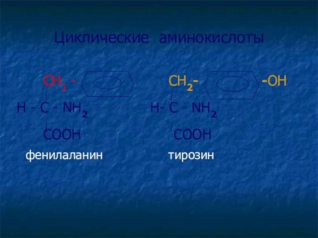 Циклические аминокислоты СН2 - СН2- -ОН H - C - NH2 Н-