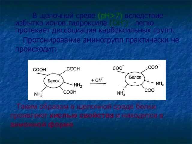 В щелочной среде (рН>7) вследствие избытка ионов гидроксила (ОН-) легко протекает диссоциация