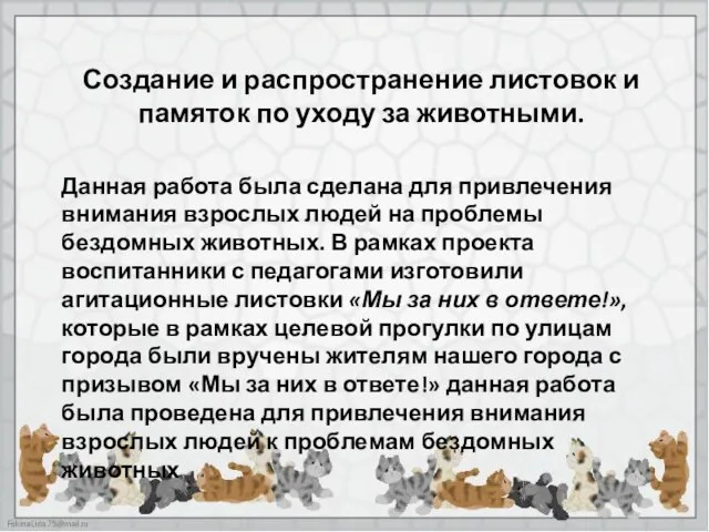 Создание и распространение листовок и памяток по уходу за животными. Данная работа