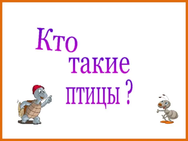 Кто такие птицы ?