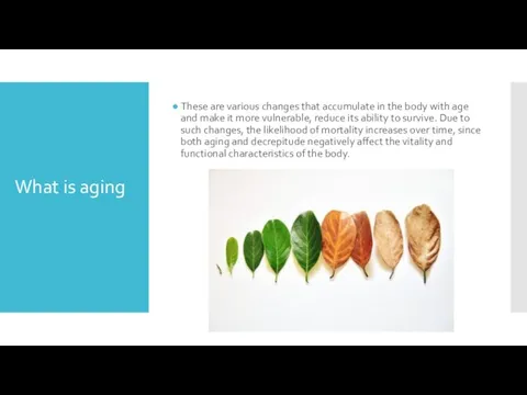 What is aging These are various changes that accumulate in the body