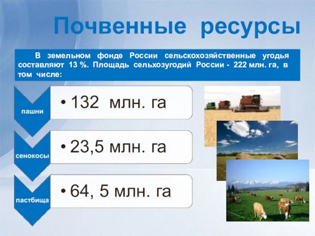 Почвенные ресурсы В земельном фонде России сельскохозяйственные угодья составляют 13 %. Площадь