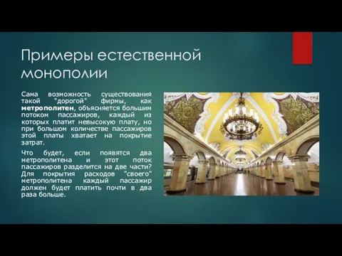 Примеры естественной монополии Сама возможность существования такой "дорогой" фирмы, как метрополитен, объясняется