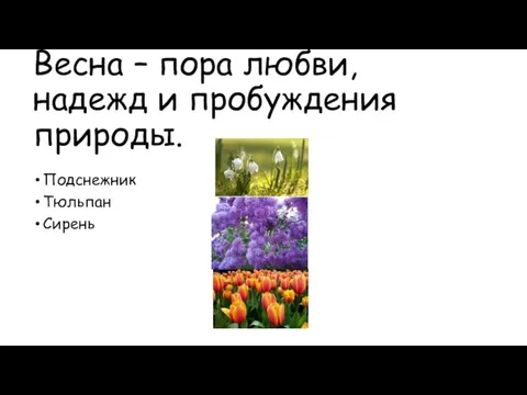 Весна – пора любви, надежд и пробуждения природы. Подснежник Тюльпан Сирень