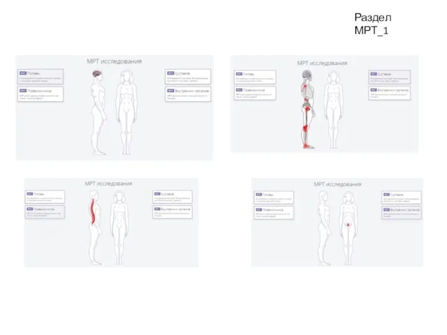 Раздел МРТ_1