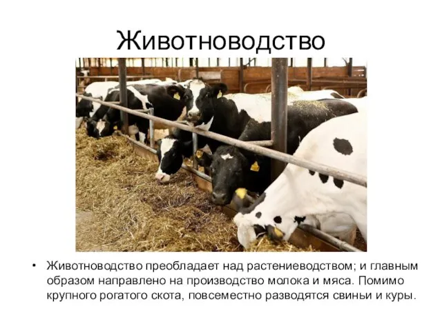 Животноводство Животноводство преобладает над растениеводством; и главным образом направлено на производство молока
